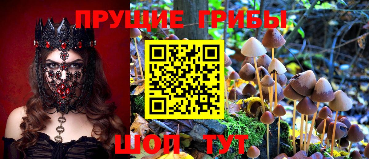 Псилоцибиновые грибы мухоморы  Псилоцибиновые грибы прущие грибы  Вход с VPN  Лесосибирск 