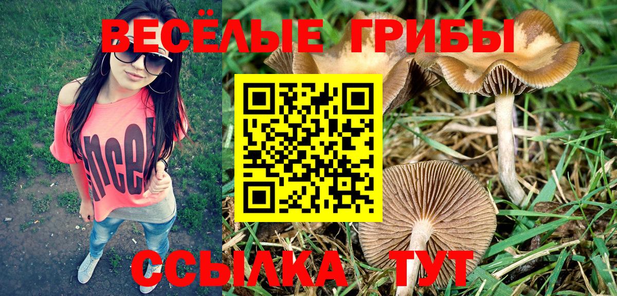 Галлюциногенные грибы GOLDEN TEACHER Лесосибирск